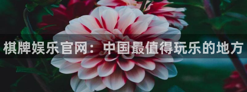汇富娱乐入口